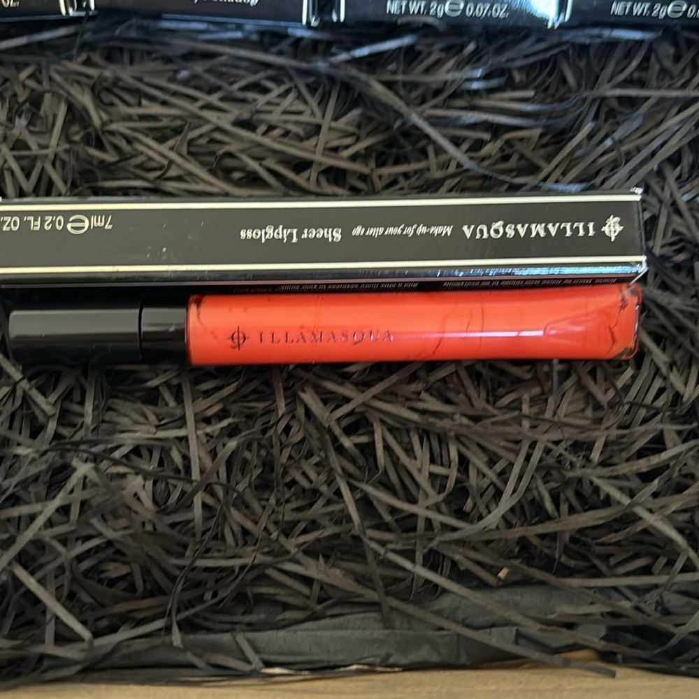 ILLAMASQUA || Torture lipgloss